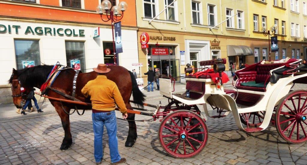 10 Jesse - Wasz przebrany za wozaka felietonista przy dorożce, którą wynająłem w celu ocieplenia zewnętrznego wizerunku wrocławskiej siedziby PO